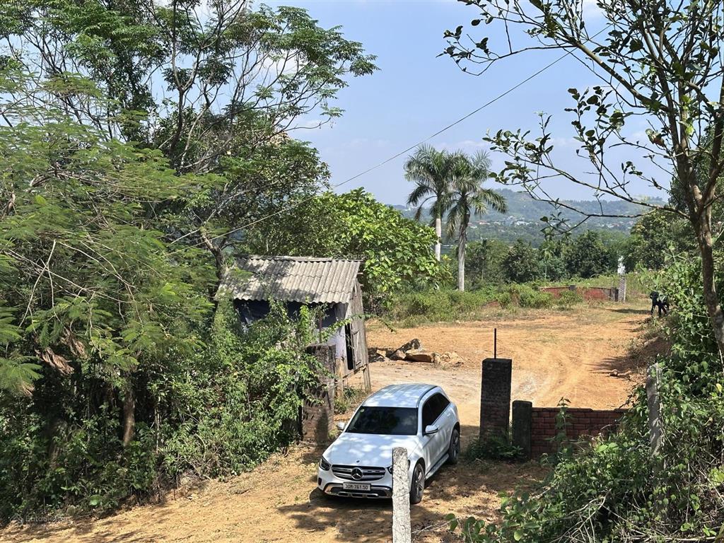Bán cắt lỗ giá thấp hơn 5 tỷ so với mức giá tham khảo đất khu villa nghỉ dưỡng yên bài, ba vì