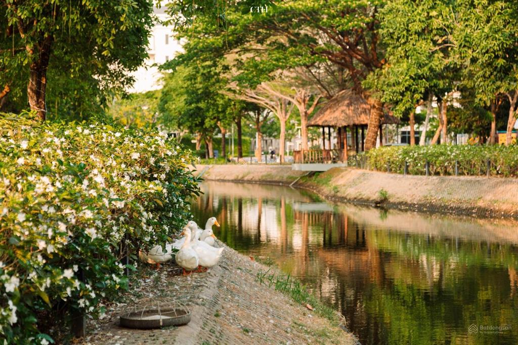 Cho thuê căn 1pn swanbay giá rẻ hiếm có xem nhà liền tay  dọn vào ở ngay