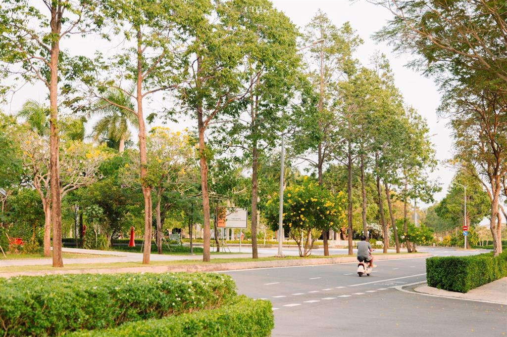 Cho thuê căn 1pn swanbay giá rẻ hiếm có xem nhà liền tay  dọn vào ở ngay