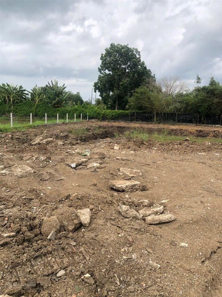 Bán 2051m2 đất bình chánh, thổ cư 800m2 giá tốt nhất thị trường