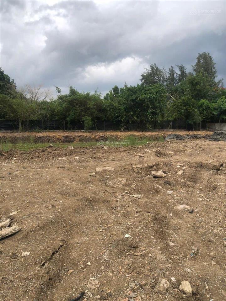 Bán 2051m2 đất bình chánh, thổ cư 800m2 giá tốt nhất thị trường