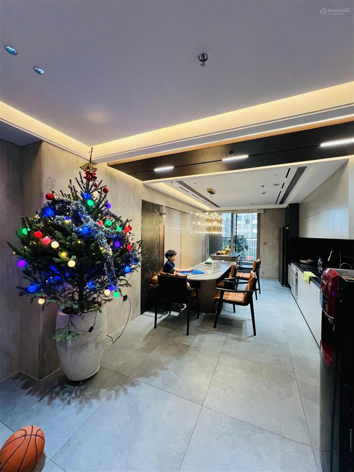 Căn đập thông p7 times city 162m2 + 30m sân vườn, full đồ luxury, giá chỉ 23,x tỷ