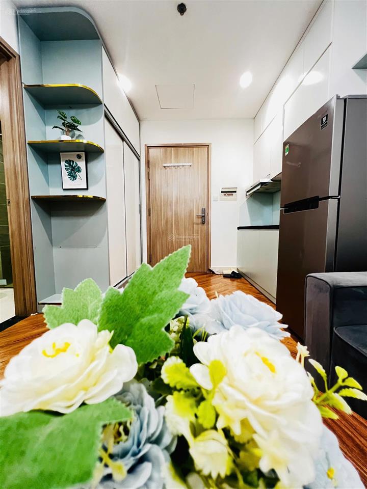 Chính chủ bán căn studio ban công s1.10, 25m², full nội thất, hướng đông nam, có sổ đỏ, giá 1.620ỷ