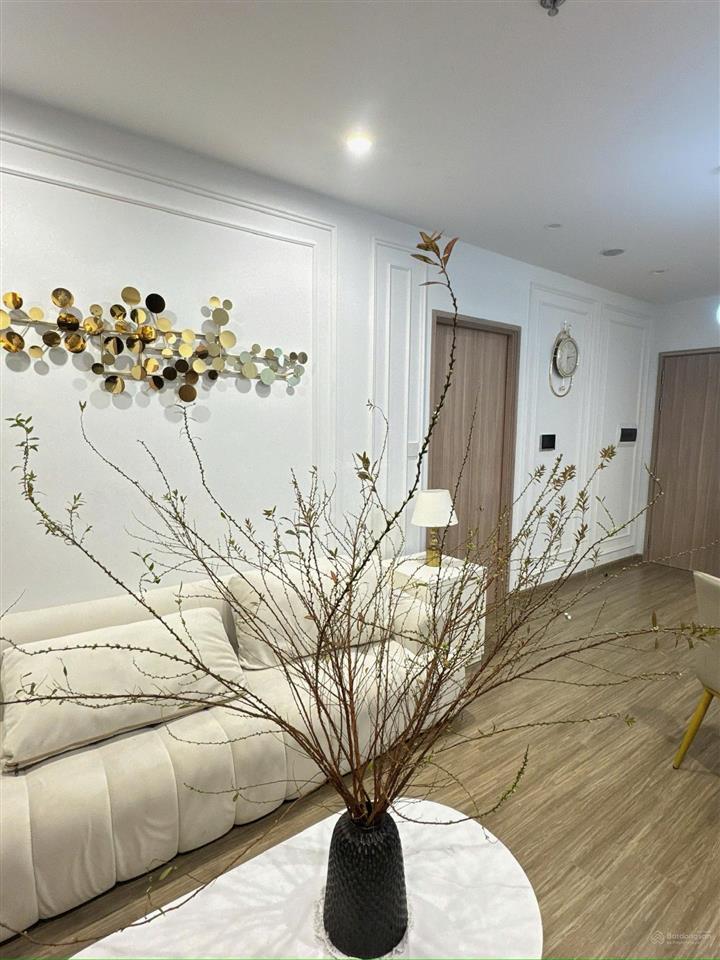 Bán căn p4 2pn 2vs, 61,5m², hướng đông bắc, full nội thất, đủ thiết bị, giá 3,95 tỷ