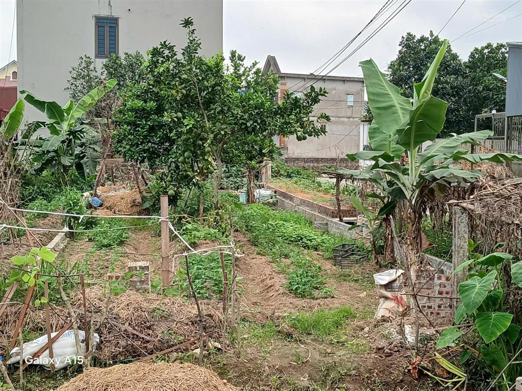 Lô góc hiếm 132m²  full thổ cư  3 mặt thoáng