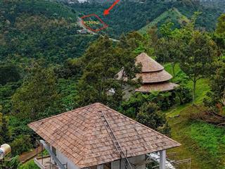 Bán đất hơn 1 triệu/m2 quy hoạch thổ cư cạnh khu nghỉ dưỡng hamony retreat bảo lộc