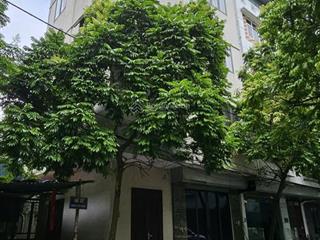 Lô góc 3 mặt thoáng kđt văn quán  35m²  5 tầng  đường 3 ô tô tránh  chỉ 13,5 tỷ