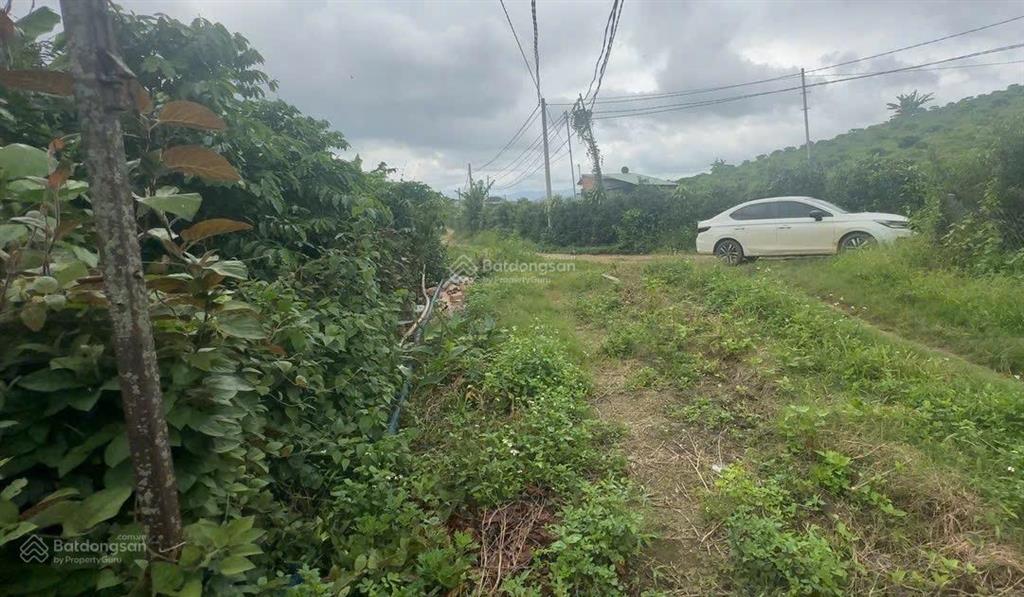 Bán nhà riêng tại lộc thành, bảo lâm, lâm đồng, 2,2 tỷ, 309m2