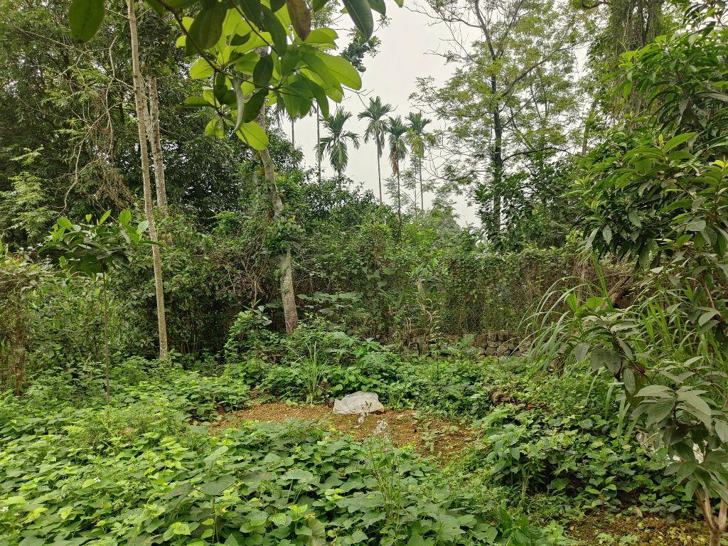 Chỉ hơn 5 triệu/m² – 502m² (170m² thổ cư) – Hoàng Văn Thụ, Chương Mỹ | View cánh đồng, có sẵn 2 nhà ở ngay