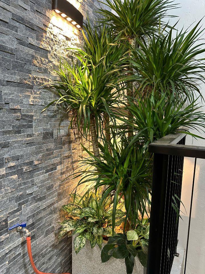 🚨 HIẾM! NHÀ ĐẸP VĂN QUÁN – TRUNG TÂM HÀ ĐÔNG – NHỈNH 200TR/m²