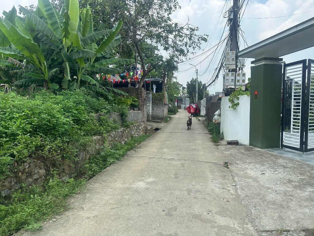 1.55 TỶ – 100M² FULL THỔ CƯ, ĐỒNG BÁI, THỊ TRẤN LƯƠNG SƠN, CÁCH QL6 CHỈ 600M  