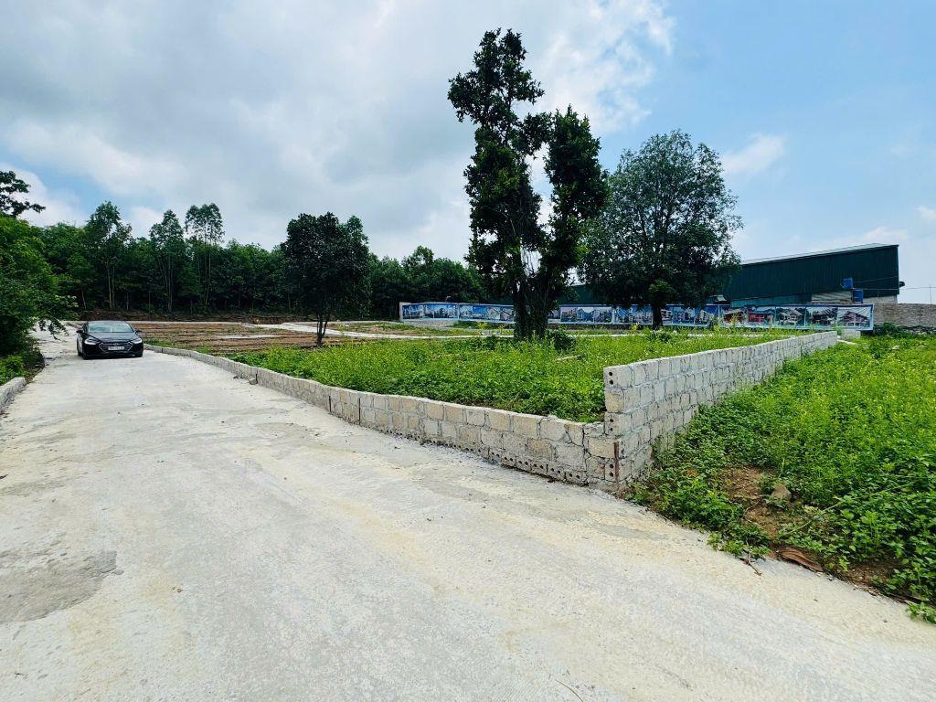 cứu cọc chỉ hơn 200tr có ngay 116m đất Lương Sơn 