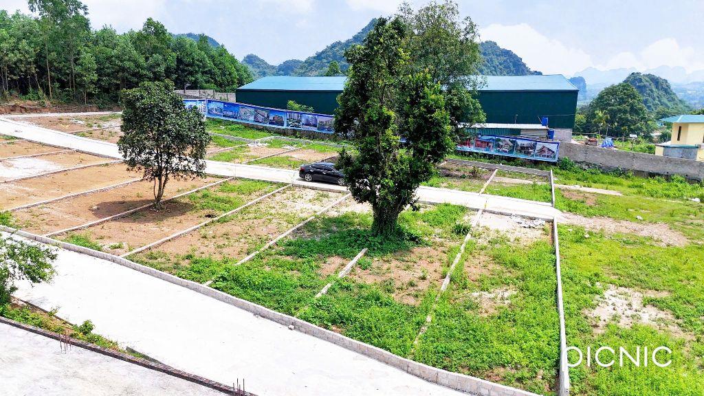 cứu cọc chỉ hơn 200tr có ngay 116m đất Lương Sơn 