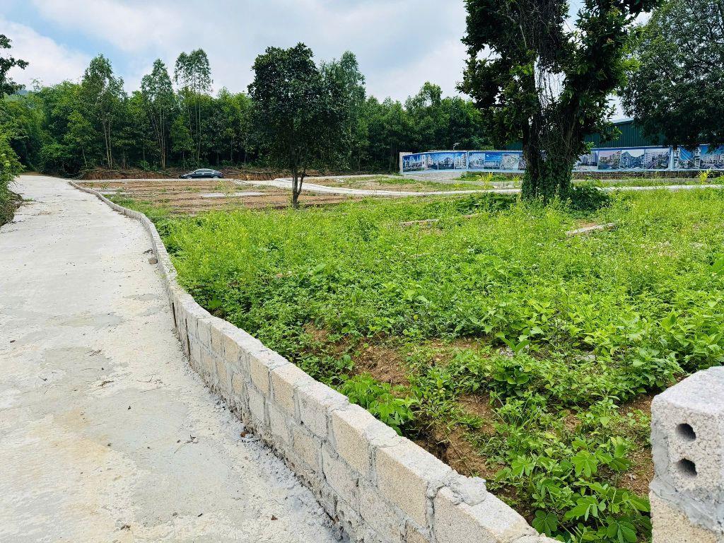 cứu cọc chỉ hơn 200tr có ngay 116m đất Lương Sơn 