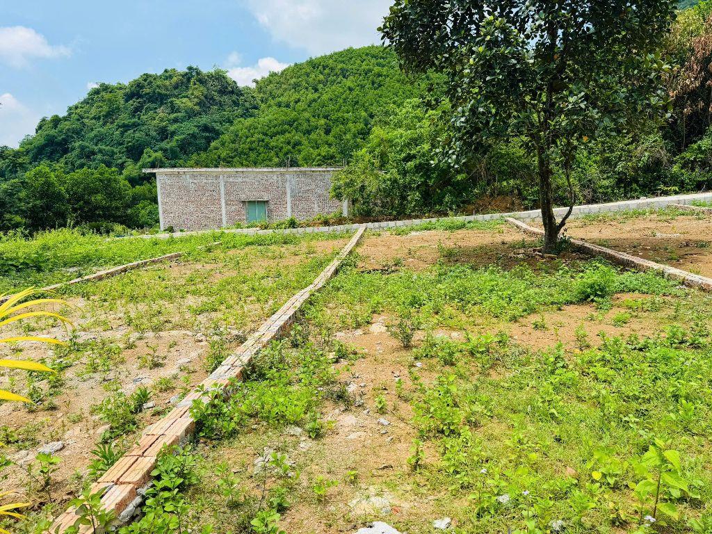 cứu cọc chỉ hơn 200tr có ngay 116m đất Lương Sơn 