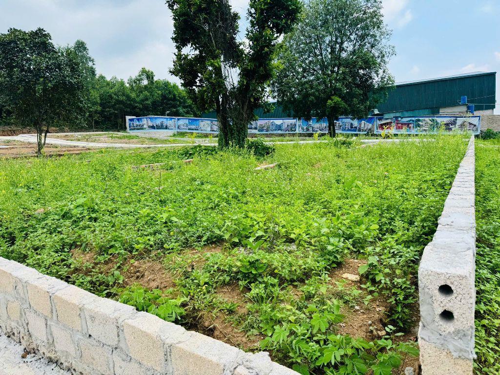 cứu cọc chỉ hơn 200tr có ngay 116m đất Lương Sơn 