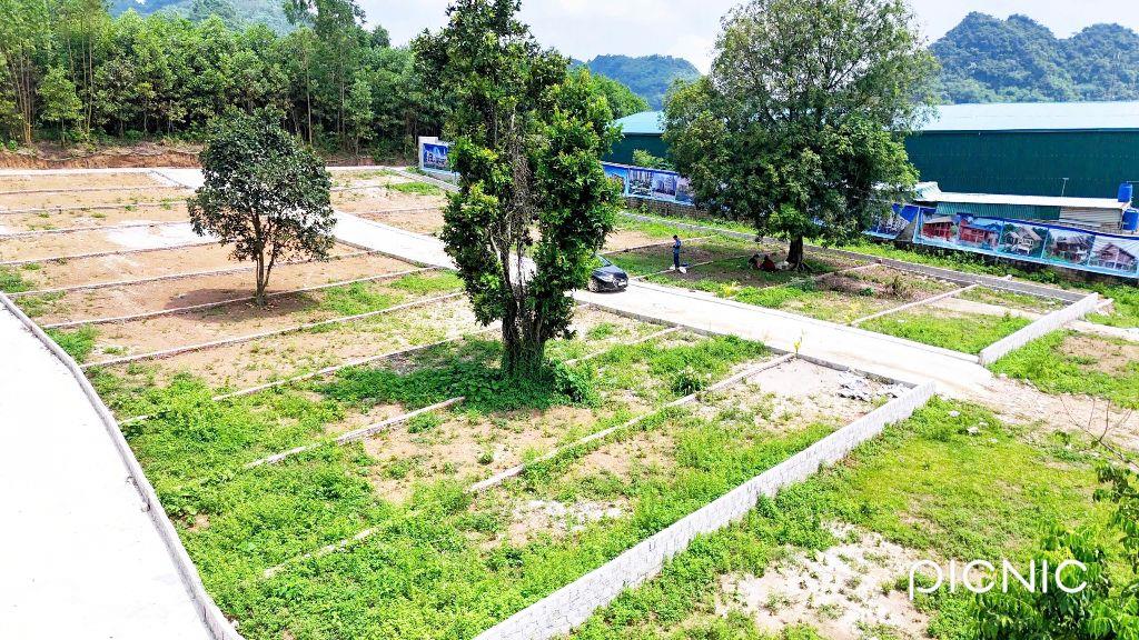 cứu cọc chỉ hơn 200tr có ngay 116m đất Lương Sơn 