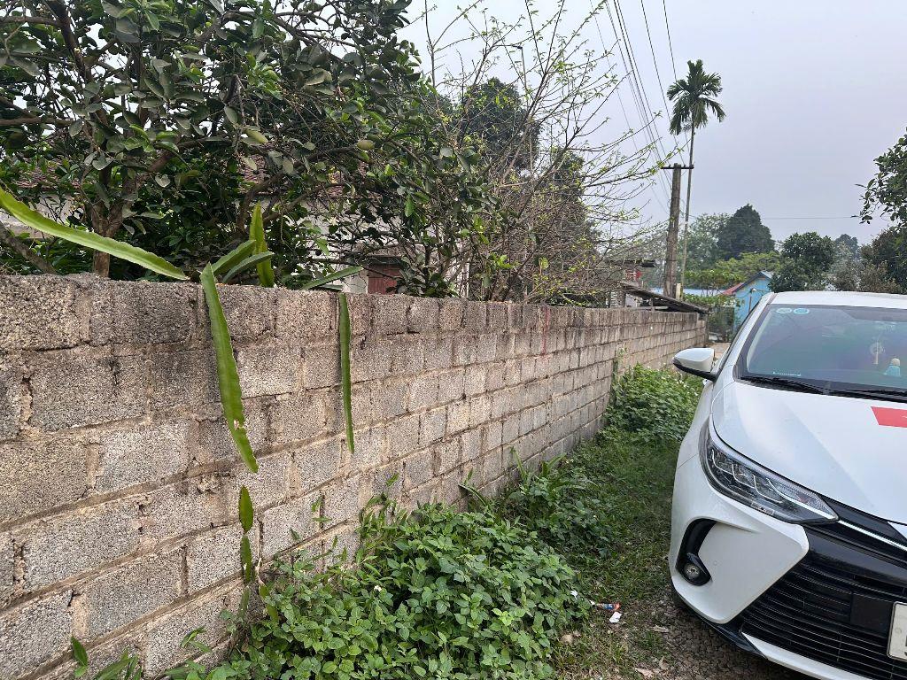 Chủ giảm giá sốc còn 499 TRIỆU – 100M²/50M THỔ CƯ – PHƯƠNG VIÊN, CAO DƯƠNG – SÁT VÀNH ĐAI 5  