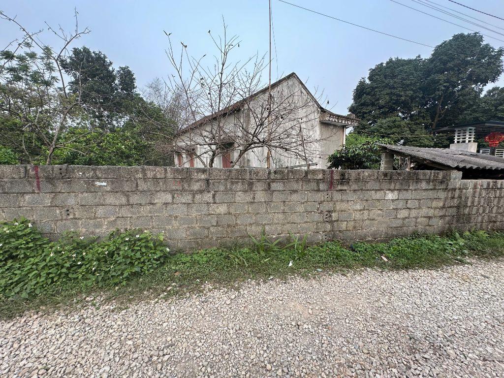 Chủ giảm giá sốc còn 499 TRIỆU – 100M²/50M THỔ CƯ – PHƯƠNG VIÊN, CAO DƯƠNG – SÁT VÀNH ĐAI 5  