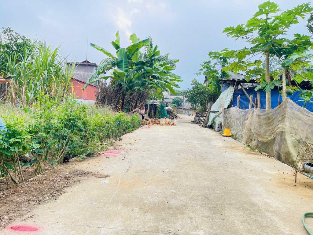 🔥 550 triệu – Sở hữu ngay 100m/94m tc đất tại trung tâm Thị trấn Hàng Trạm, Yên Thủy, Hòa Bình 