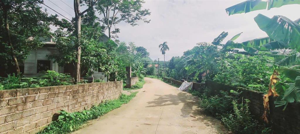 Bán 2.300m² full thổ cư, mặt tiền 50m, lô góc 2 mt, cách hà nội 40km, chỉ 4,8 triệu/m²