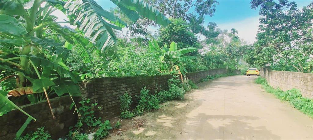 Bán 2.300m² full thổ cư, mặt tiền 50m, lô góc 2 mt, cách hà nội 40km, chỉ 4,8 triệu/m²