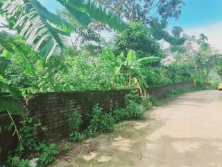 Bán 2.300m² full thổ cư, mặt tiền 50m, lô góc 2 mt, cách hà nội 40km, chỉ 4,8 triệu/m²