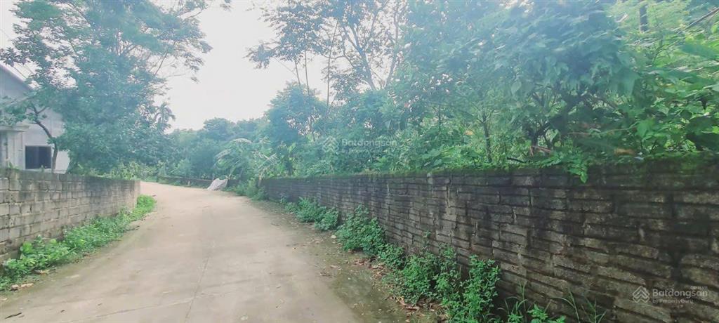 Bán 2.300m² full thổ cư, mặt tiền 50m, lô góc 2 mt, cách hà nội 40km, chỉ 4,8 triệu/m²