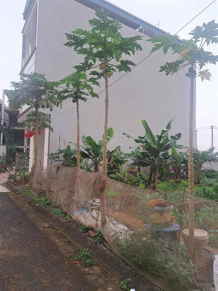 Bán đất nền kđt tại đỏ ngọn, thị trấn xuân mai, huyện chương mỹ, hà nội, 76 triệu / m2, 65.8 m2