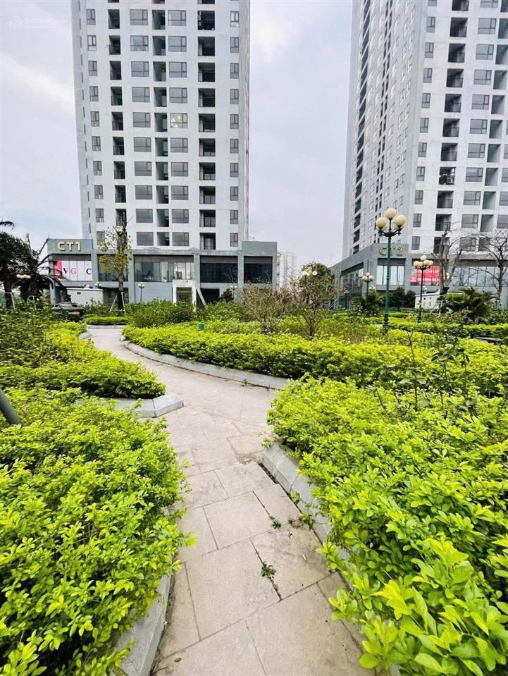 Chính chủ bán cc 3pn 2wc tại x2 đại kim, 5,999 tỷ, 77m2