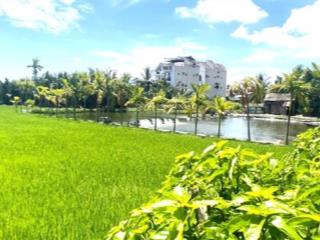 Đất view lúa mặt tiền đường 13,5m hội an diện tích đẹp  dễ đầu tư  giá tốt