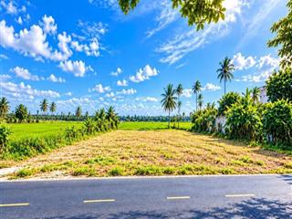 View lúa hội an | 847,9m2 đất ở 100%  ngang 22,65m, giá chào 51 tỷ