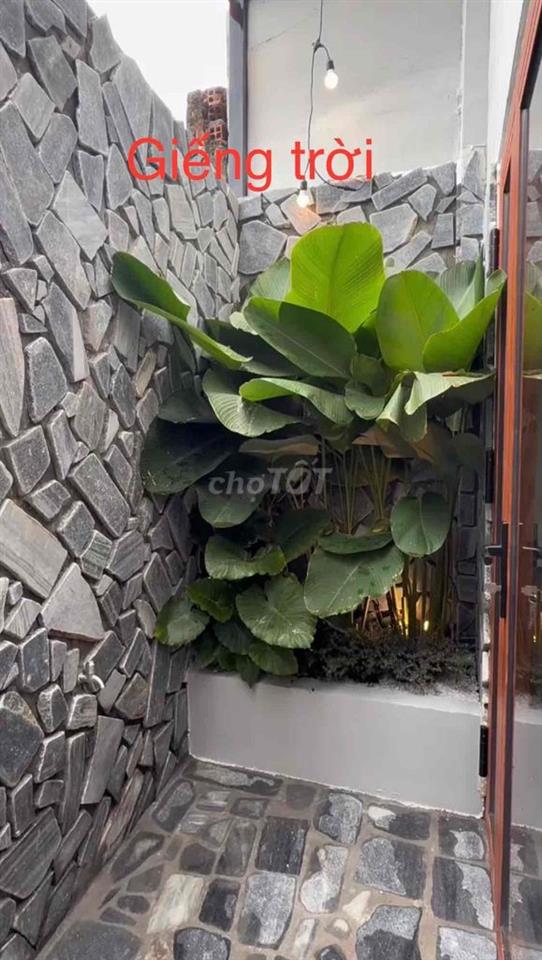 cho thuê nhà ở lâu dài