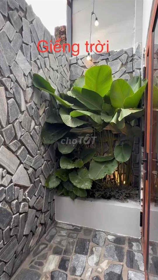 nhà ở cho thuê lâu dài
