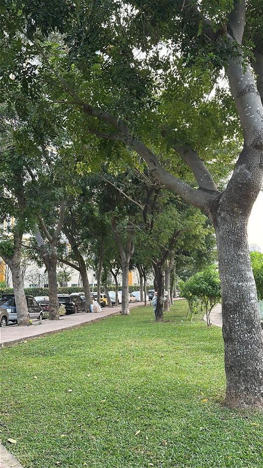 Cho thuê gấp căn hộ chung cư 52m2, 11 triệu tại kris vue, quận 2, tp.hcm