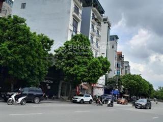 Bán tòa nhà văn phòng mặt phố dt 230m2 xây 8 tầng có hầm, đầy đủ pccc