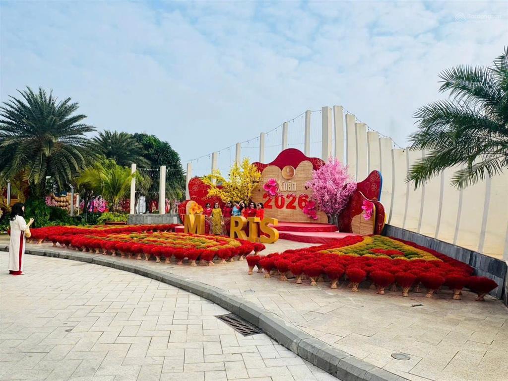 Căn hộ tại the maris vũng tàu, giá 3,250 tỷ, 45m2, full nội thất, cam kết khai thác thuê 21tr/tháng