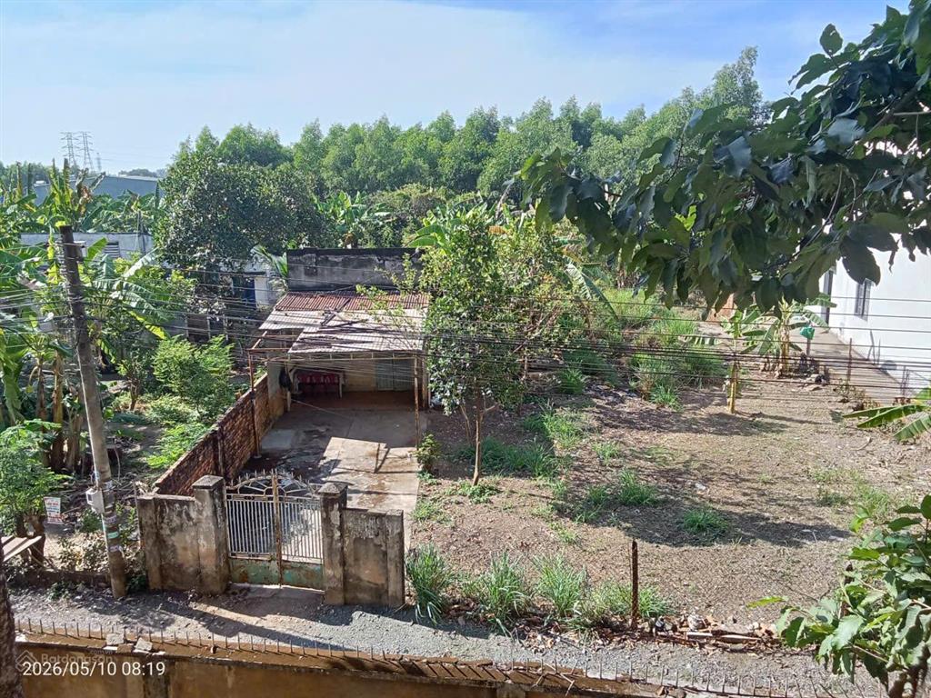 Bán 500m2 sổ riêng thổ cư phước tân biên hoà, giá cực tốt