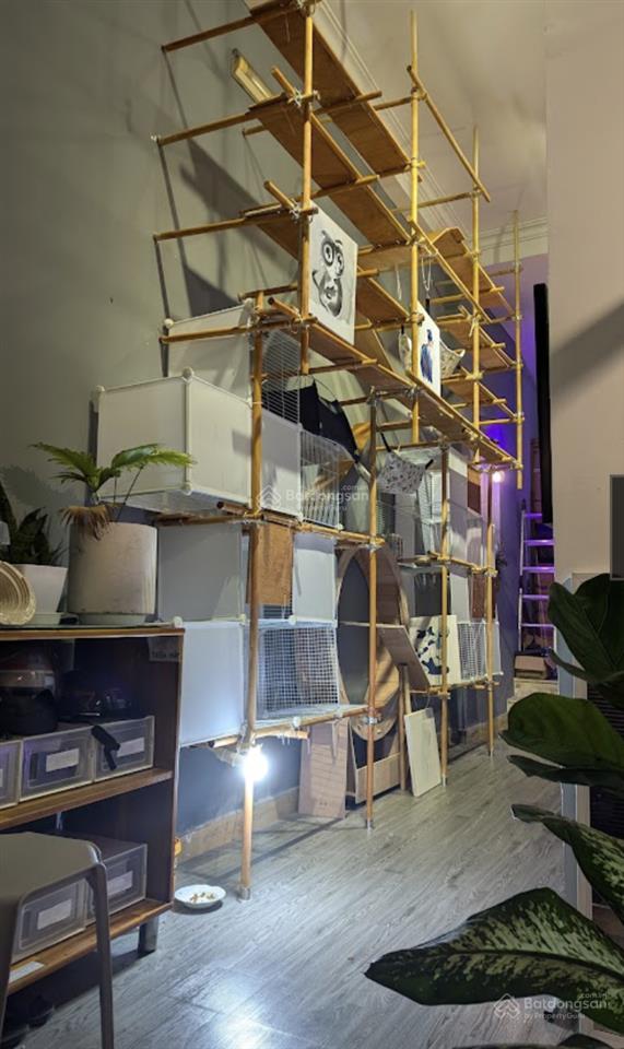 Phòng phan xích long, phú nhuận
