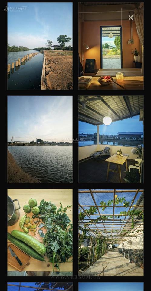 Farmstay, phòng trọ, cần giờ, lý nhơn 500k/người/tháng