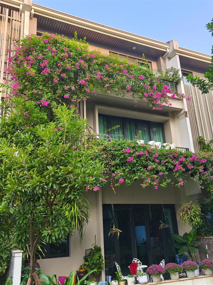 Cho thuê nhà biệt thự 240m2, 40 triệu tại evelyne gardens, hà đông, hà nội