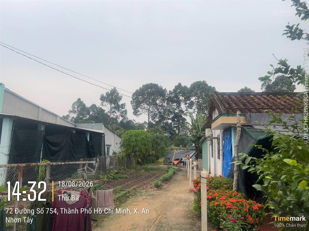 Bán 428,1m2 đất đường nhựa 6m khu dân cư hiện hữu an nhơn tây, tp. hồ chí minh
