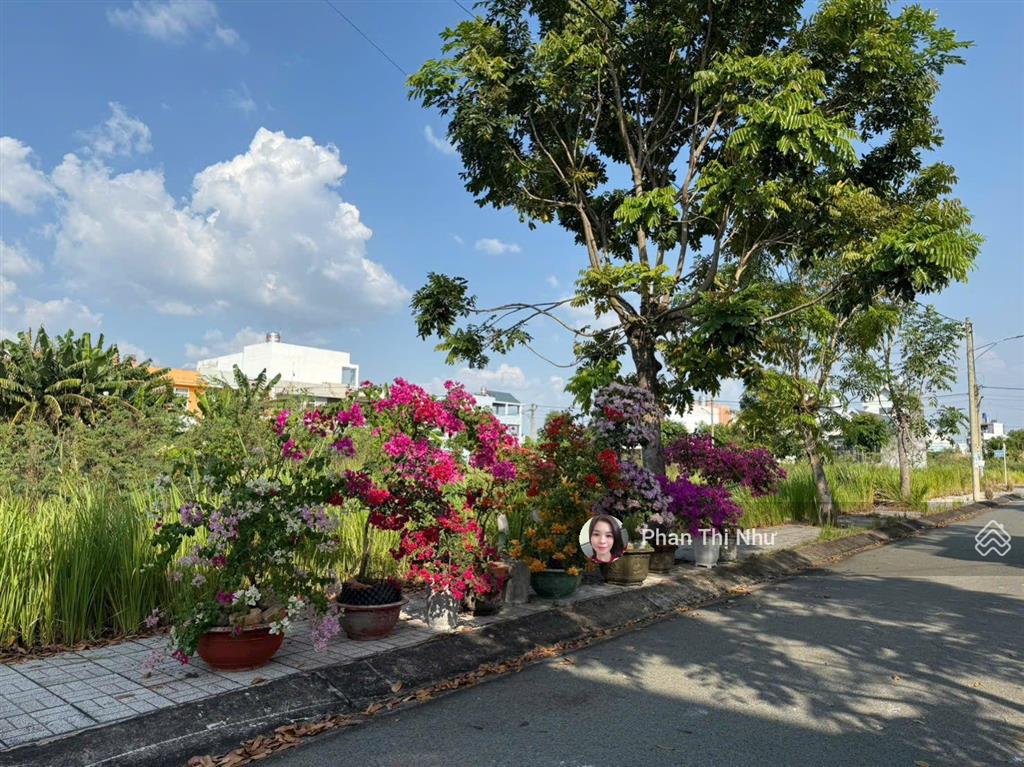 Đất đẹp cao ráo  đường nhựa 8m  4x15 shr full thổ  xây tự do  gần cv khủng long  kdc hiện hữu