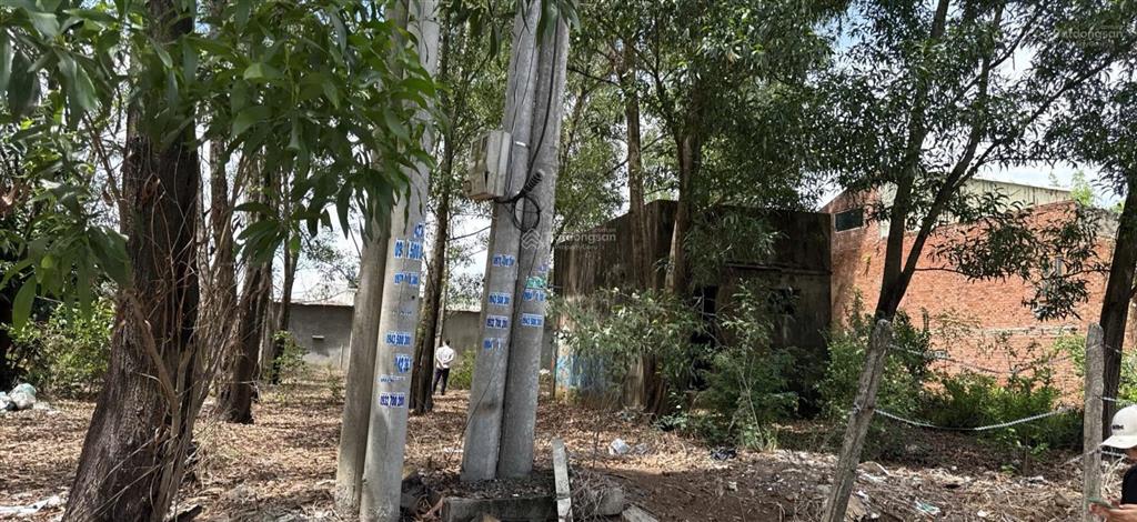 Bán đất long hưng vị trí siêu đẹp