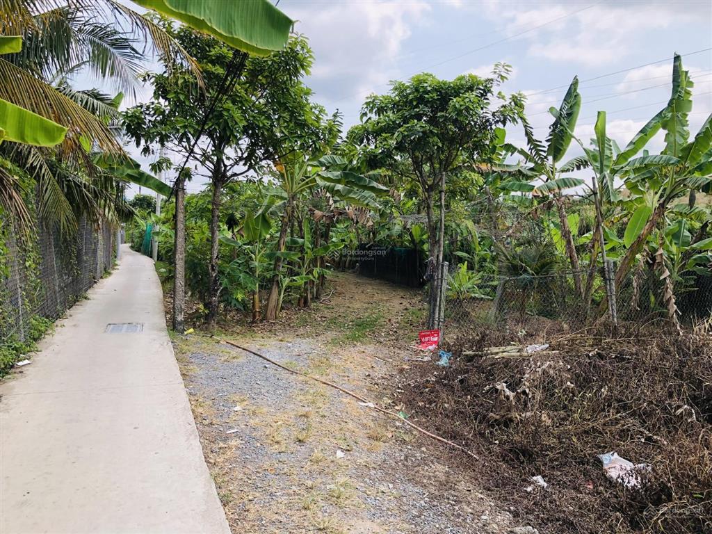 Đất đẹp mặt tiền đường xe tải, xe lớn. diện tích 9,8m x 76m, gần cầu cai lậy, chợ tam long