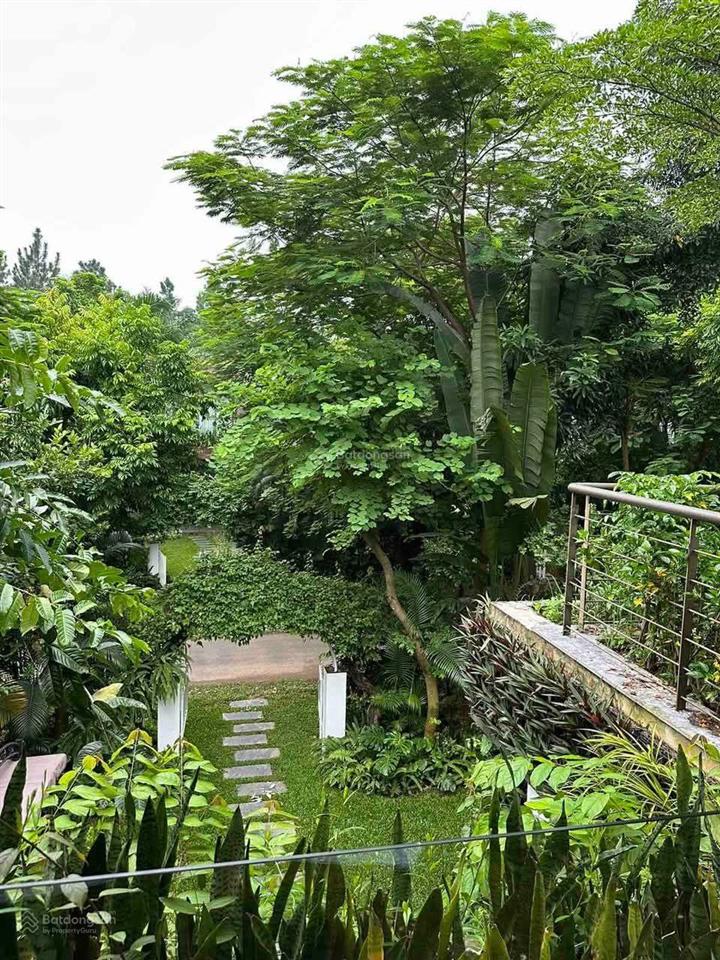 Biệt thự cực chất tại flamingo resort, 16,5 tỷ, 325m2, hàng hot!