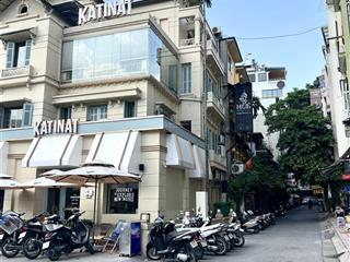 Nhà đẹp đào tấn, ngõ thông ô tô tránh, lô góc 6 tầng thang máy  gara ô tô  gần lotte center