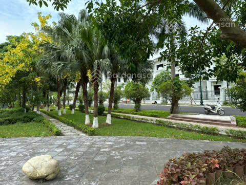 Bán biệt thự song lập góc 290m view công viên | vườn cam
