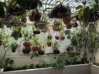 Chính chủ bán nhà riêng tại 791/23/7k7 trần xuân soạn, tân hưng, 11,2 tỷ, 102m2