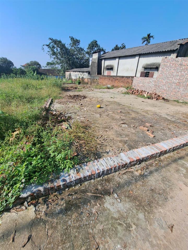 BÁN ĐẤT CÂM LĨNH, BA VÌ, HÀ NỘI-116M-GIÁ CHỈ 320 TRIỆU